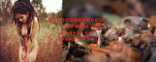 тгк Алзамай
