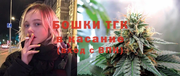 тгк Алзамай