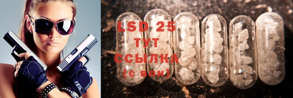 тгк Алзамай
